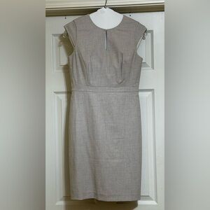 Ann Taylor Classic Beige Dress